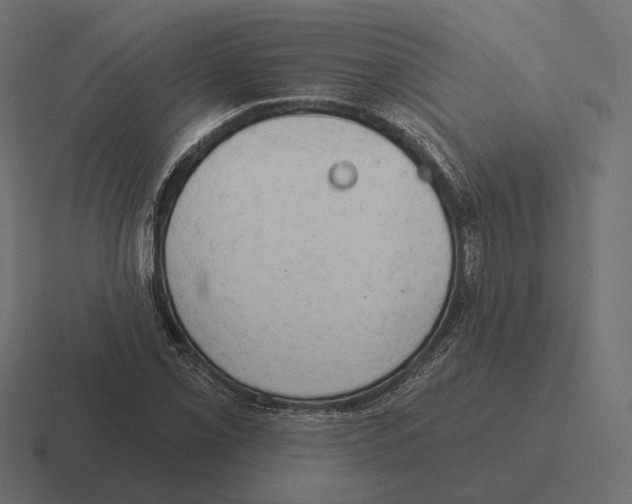 X0000116301069200912291427