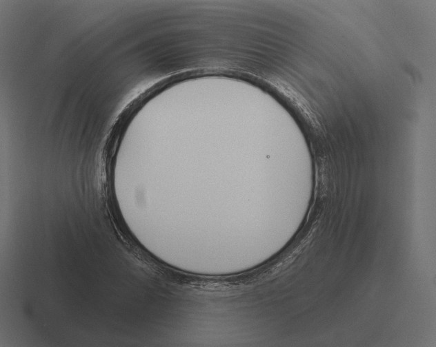 X0000116301070200912291427