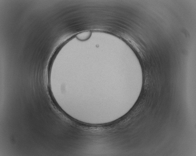 X0000116301080200912291427