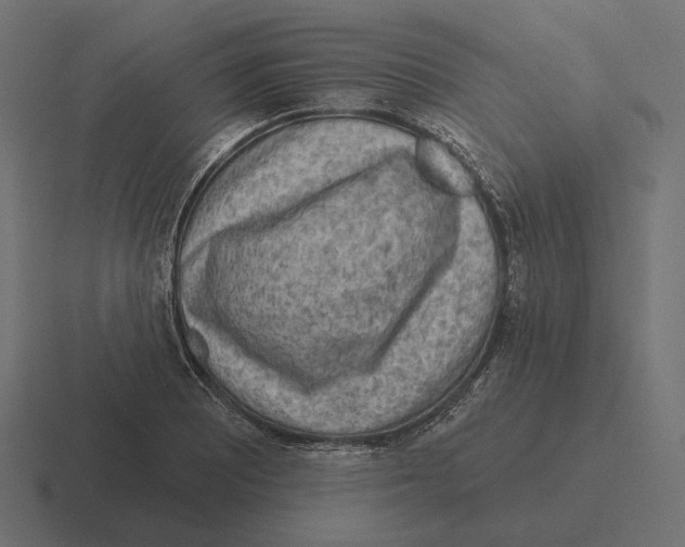 X0000116301081200912291427