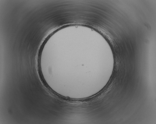 X0000116301085200912291427