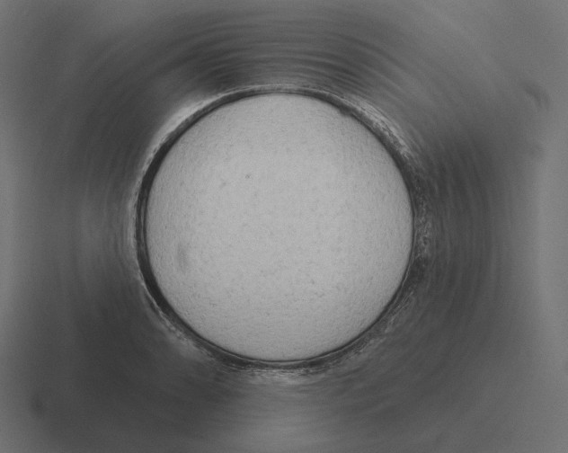 X0000116301086200912291427