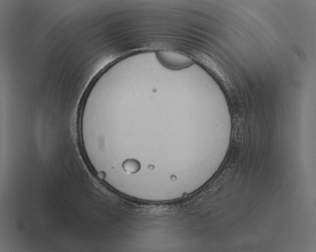 X0000116301087200912291427