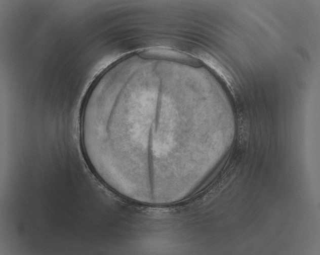 X0000116301088200912291427