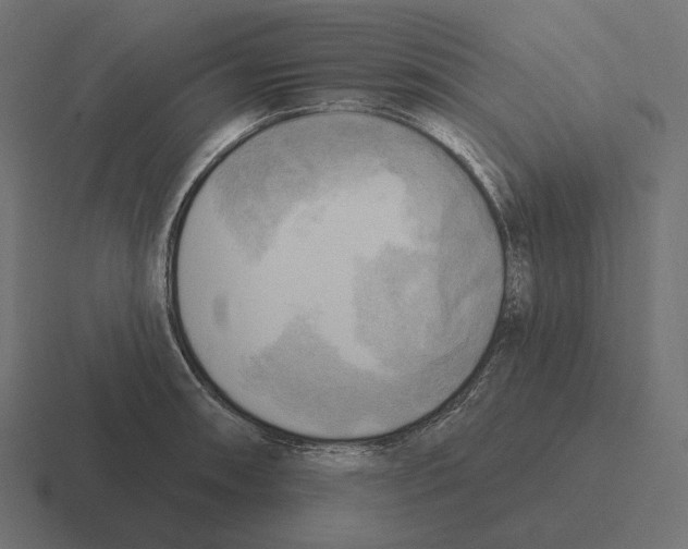 X0000116301090200912291427