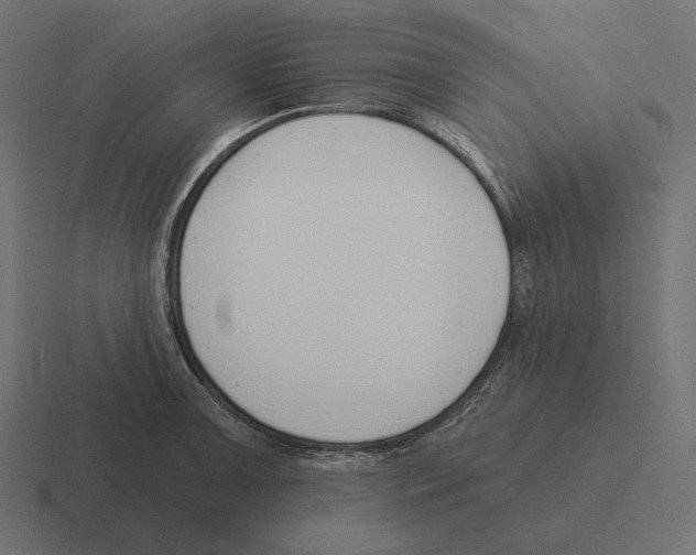 X0000116301091200912291427