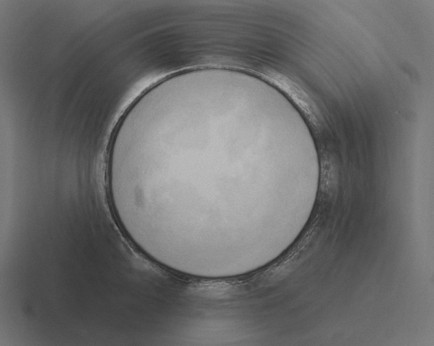 X0000116301094200912291427