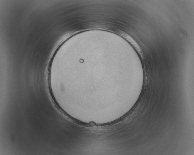 X0000116301096200912291427