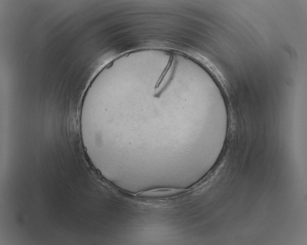 X0000116301097200912291427