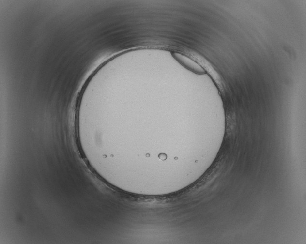 X0000116301099200912291427