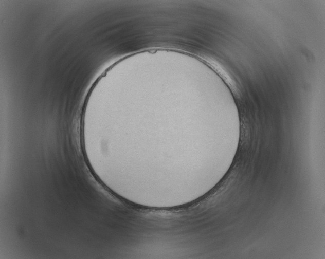 X0000116301100200912291427