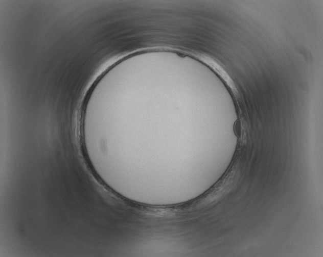 X0000116301101200912291427