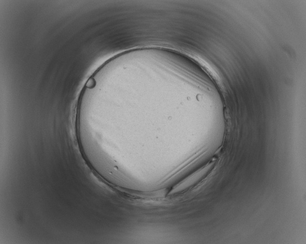 X0000116301102200912291427