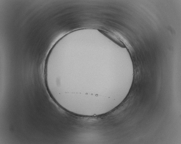 X0000116301103200912291427