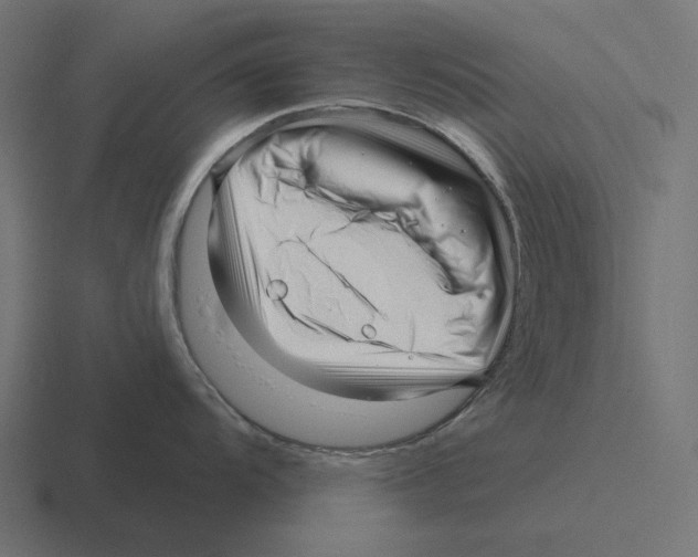 X0000116301104200912291427