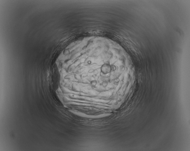 X0000116301106200912291426