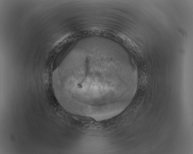 X0000116301110200912291426