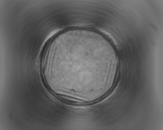 X0000116301114200912291426