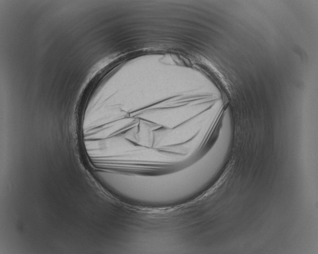 X0000116301122200912291426