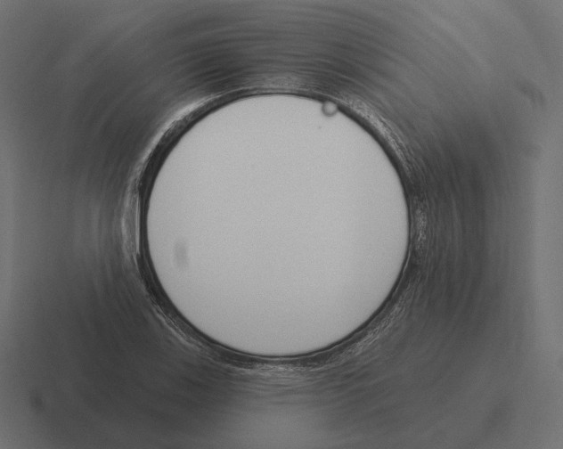 X0000116301123200912291426