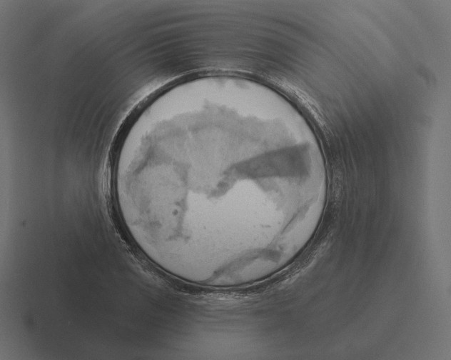 X0000116301125200912291426