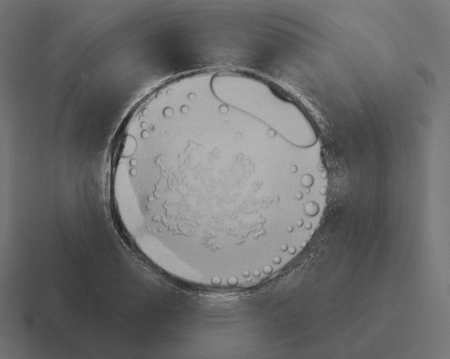 X0000116301126200912291426