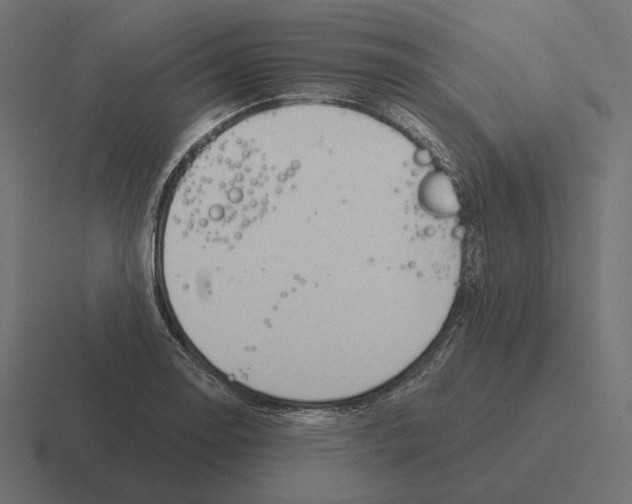 X0000116301130200912291426