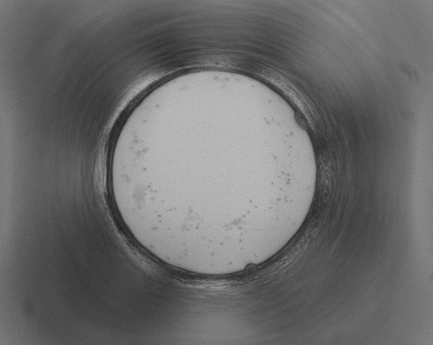 X0000116301131200912291426