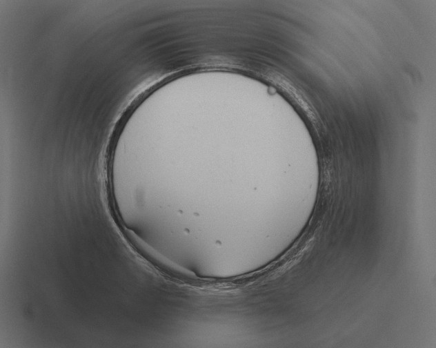 X0000116301133200912291426