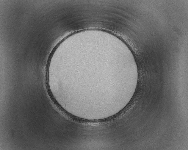 X0000116301134200912291426