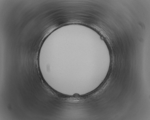 X0000116301137200912291426