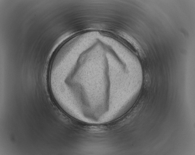 X0000116301138200912291426