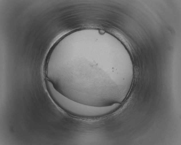 X0000116301141200912291427