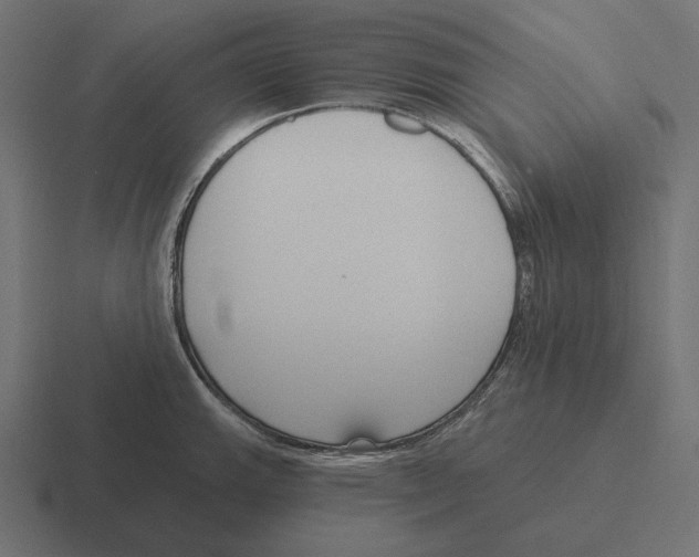 X0000116301143200912291427