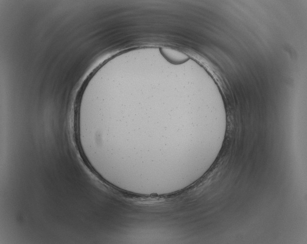 X0000116301147200912291427