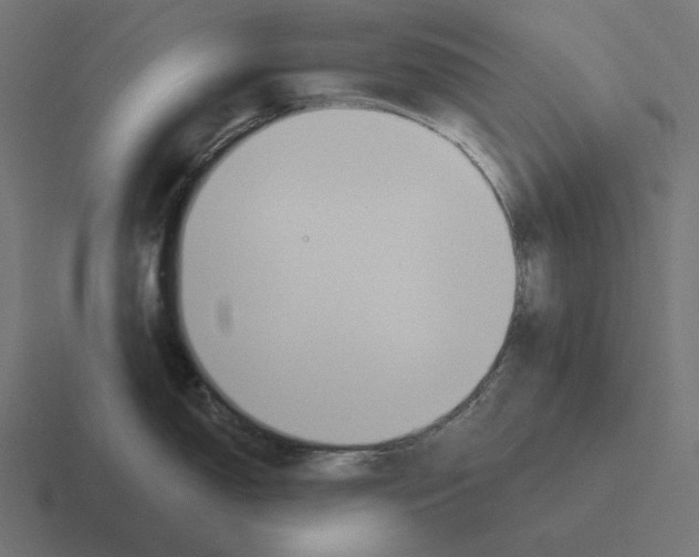 X0000116301150200912291427