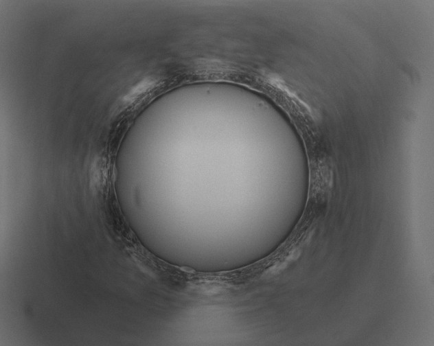 X0000116301157200912291426