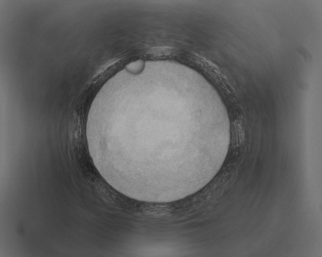 X0000116301158200912291426