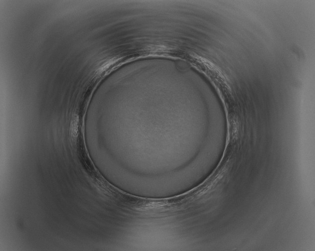 X0000116301161200912291426