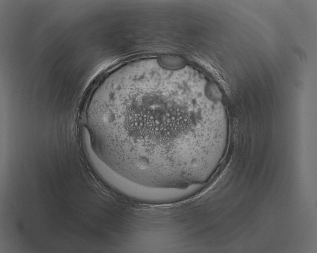 X0000116301163200912291426