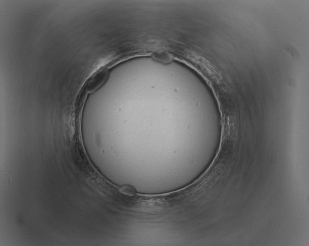 X0000116301165200912291426