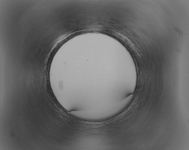 X0000116301168200912291426