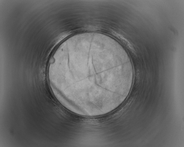 X0000116301170200912291426