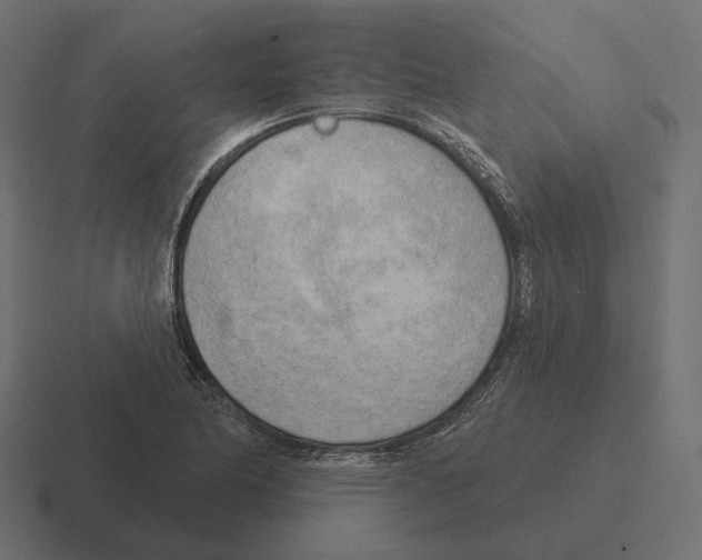 X0000116301174200912291426