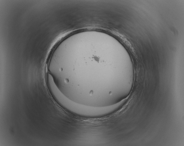 X0000116301175200912291426