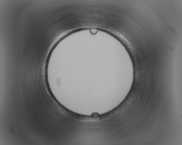 X0000116301183200912291426