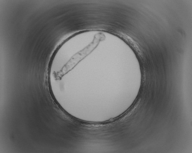 X0000116301184200912291426