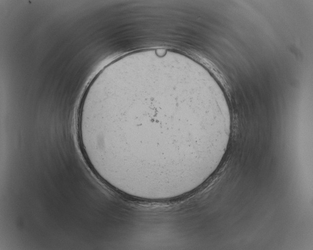 X0000116301187200912291426