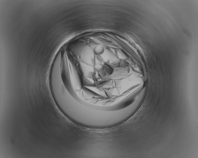 X0000116301189200912291426