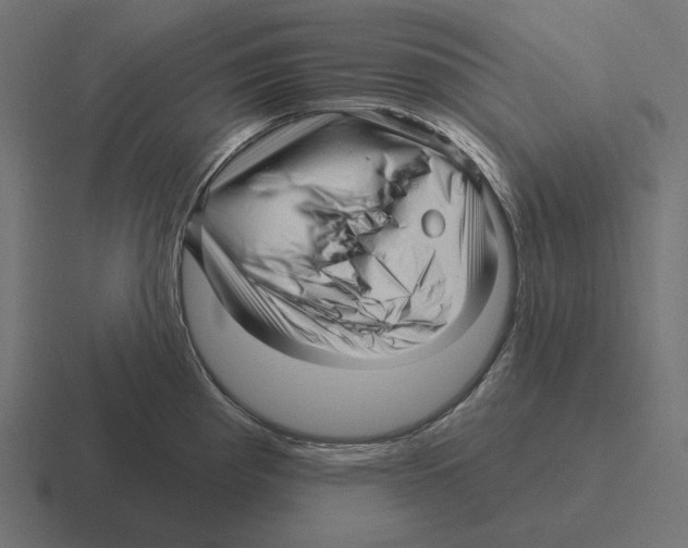 X0000116301193200912291426